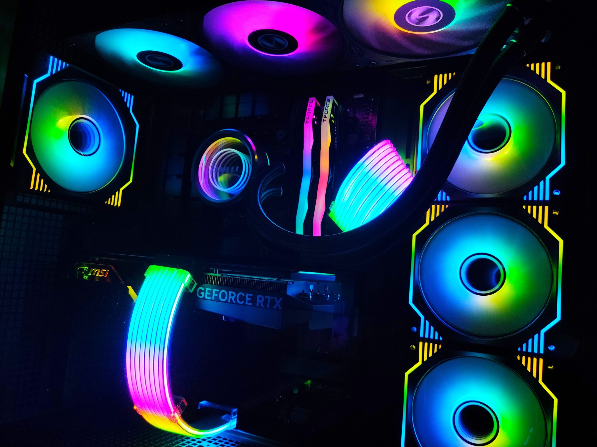 Top Edition Build